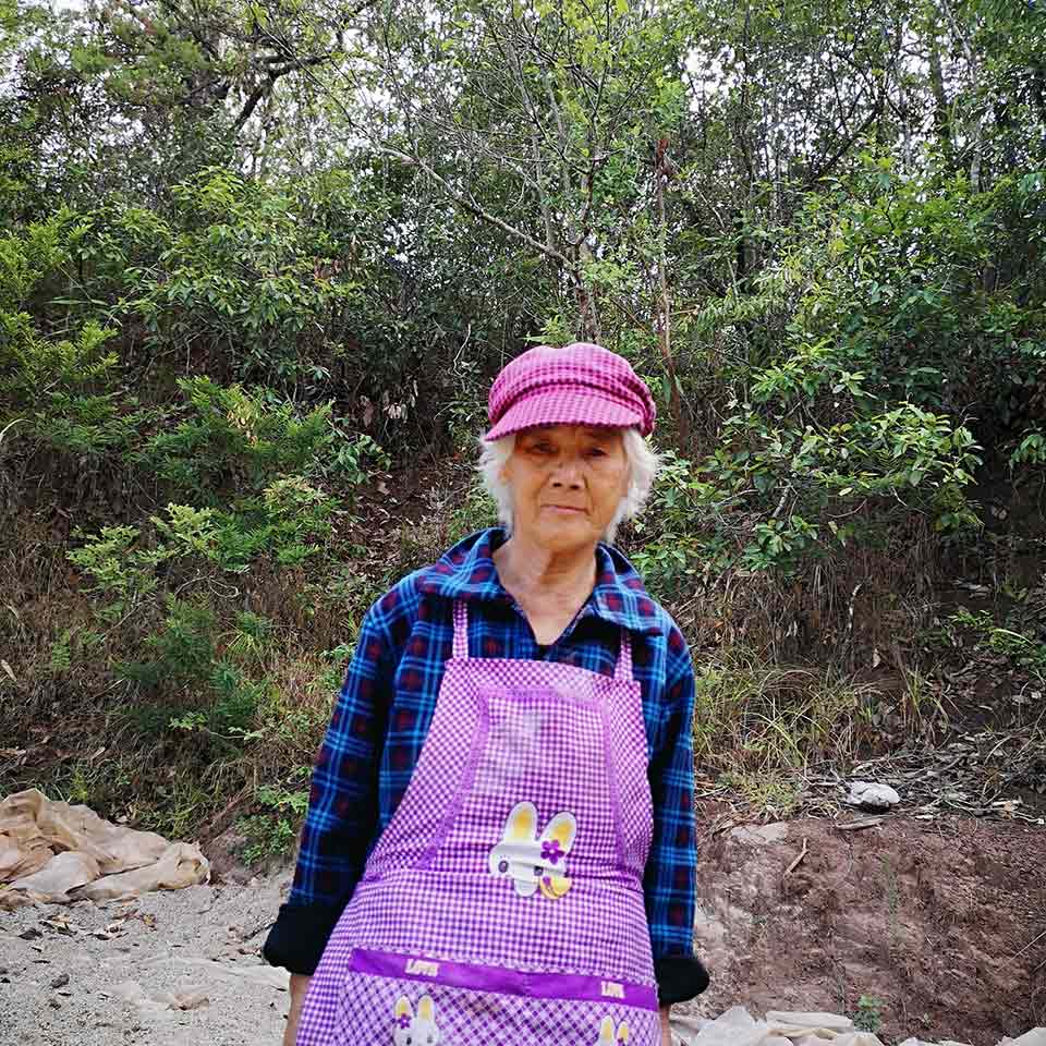 何志洪